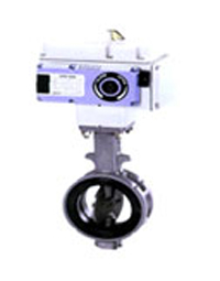 �ձ�OKM���y