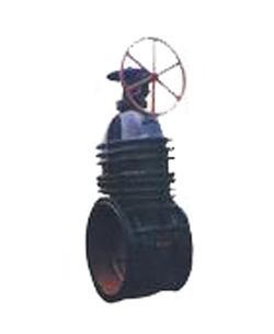 Z545T/W΁݆�D���l�y