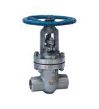 Z61Y�����l�y